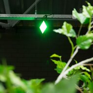 LED-Strahler 100W Gr&uuml;nes Licht | Energieeffizienter LED-Strahler