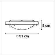 Moderne Plafonni&egrave;re Zwart 31 cm &ndash; Geschikt voor Badkamers (IP44)