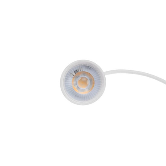 Extra Dunne LED Spot 5W 2000K - 2700K Dim to Warm (550 Lumen) Wit - Image 3