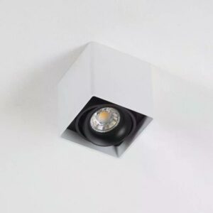 Bjorn 1 plafondlamp | wit | GU10