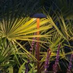 Stehlampe Jazzy Large Corten 8W 3000K