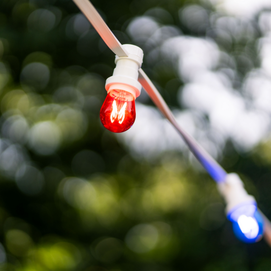 E27 gekleurde filament lamp | Dimbaar | 3,5W | Rood | Driehoek filament | Geschikt voor prikkabel – Image 4