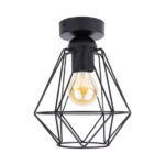 LEDUXA ceiling lamp with 1 light | 4W | black in matt black