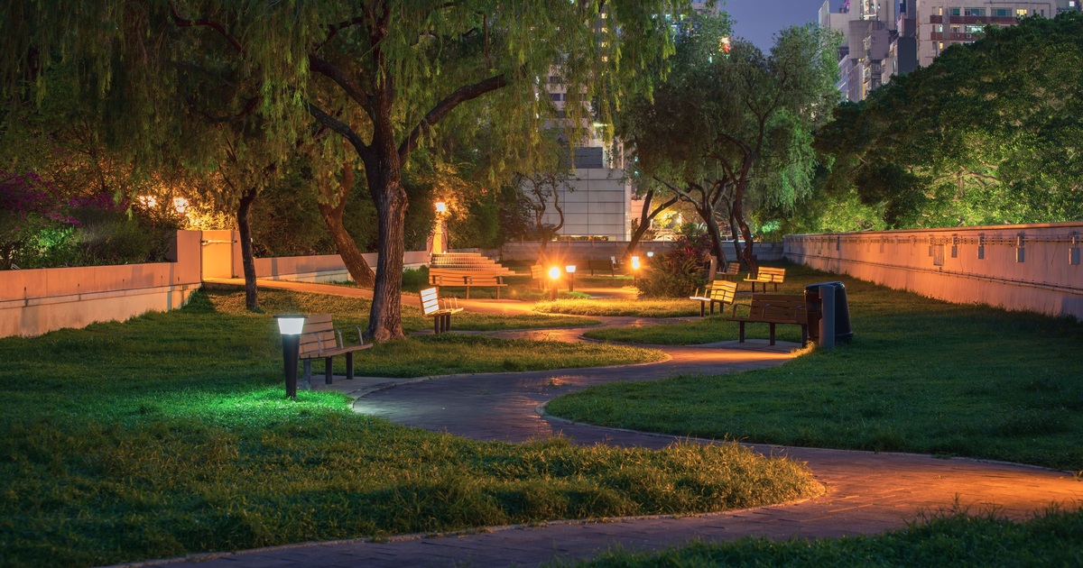 Een verlicht pad met groene beplanting en rustige lichtpunten