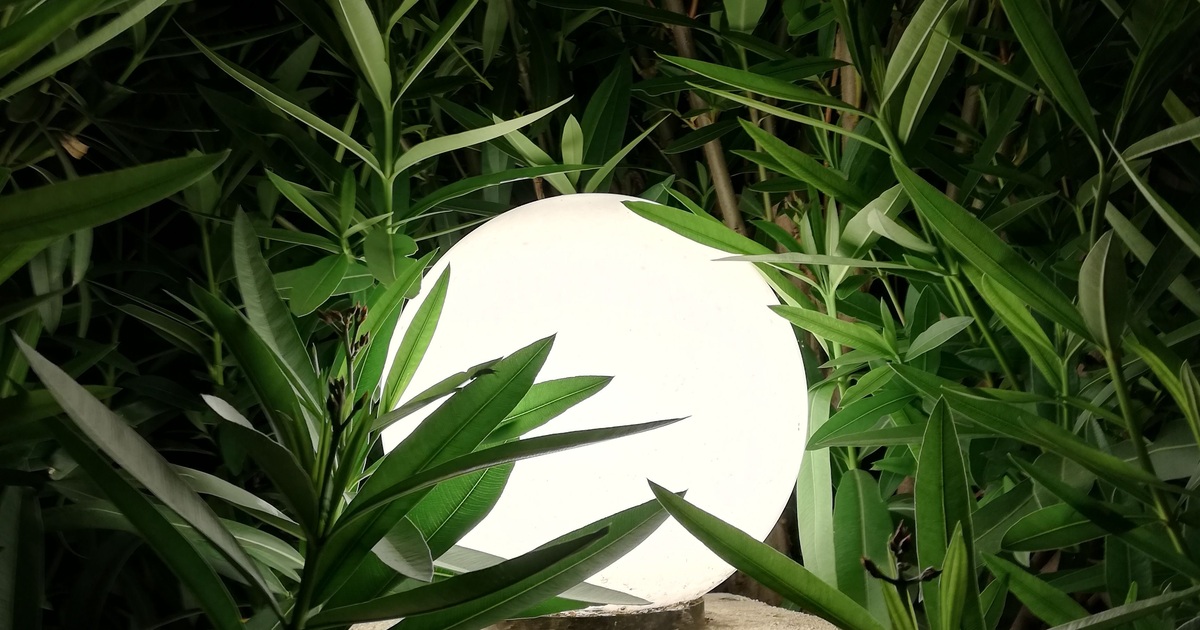 Een lichtgevende bol tussen groene bladeren