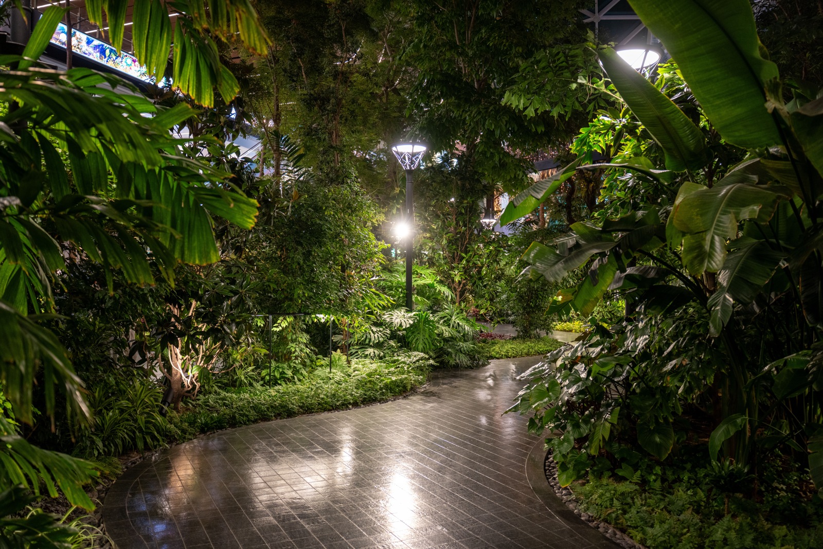 Verlicht pad in een tropische publieke tuin