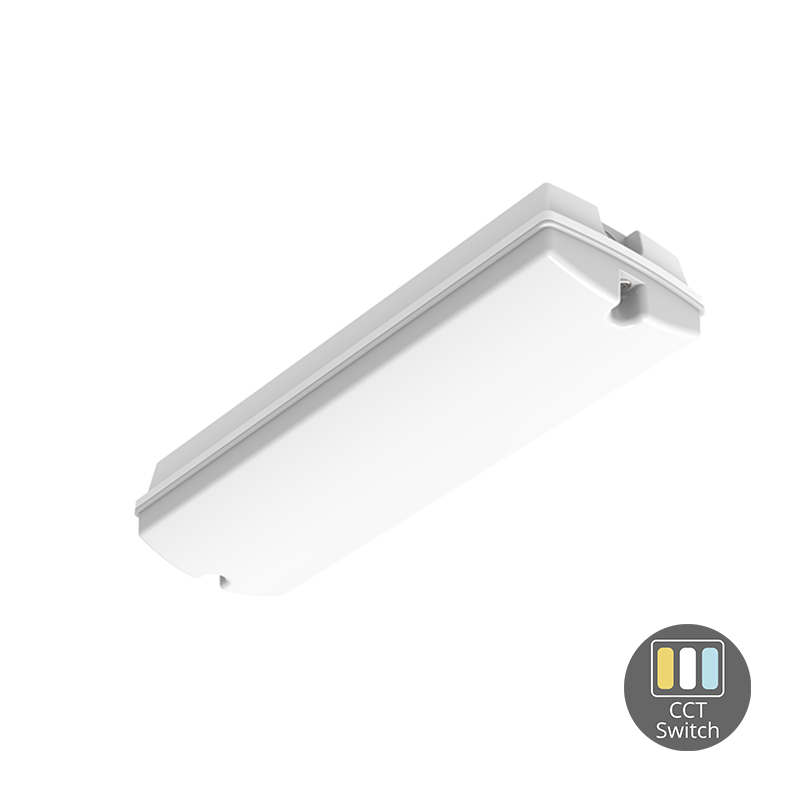 PAN portiekverlichting | CCT | wit