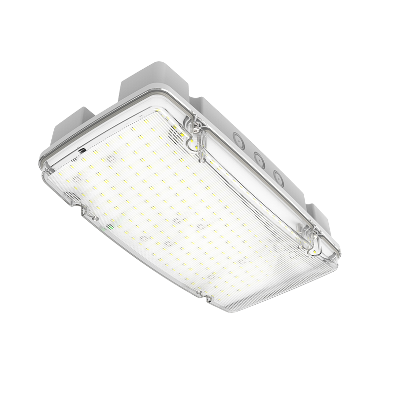 Ares noodverlichting opbouw | IP66 | 1000/1500 lm | wit