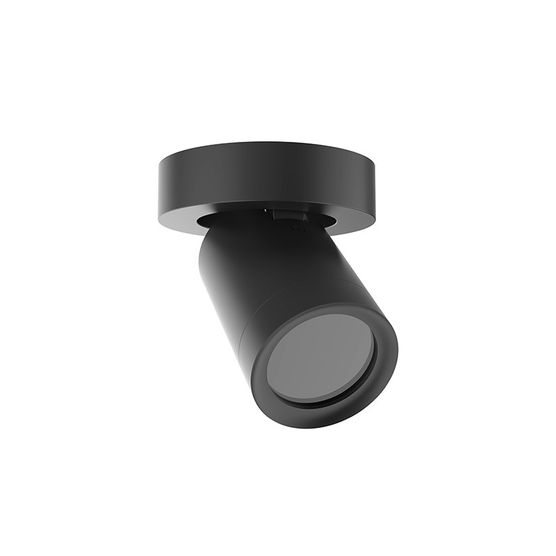 Lexi rond plafondarmatuur | 1x GU10 | zwart | IP44
